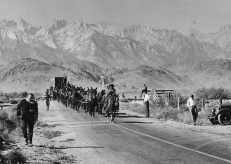 Horses, mules, a wagon, and people with tall mountains in background.