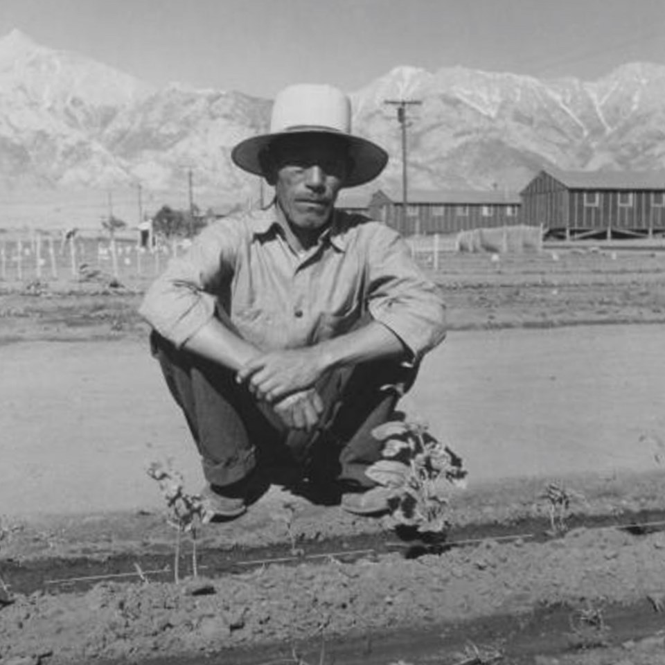 Man with hats crouches next to crops with mountains in background.