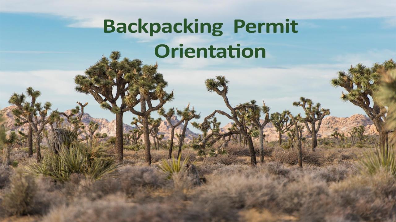 Backpacking Joshua Tree National Park