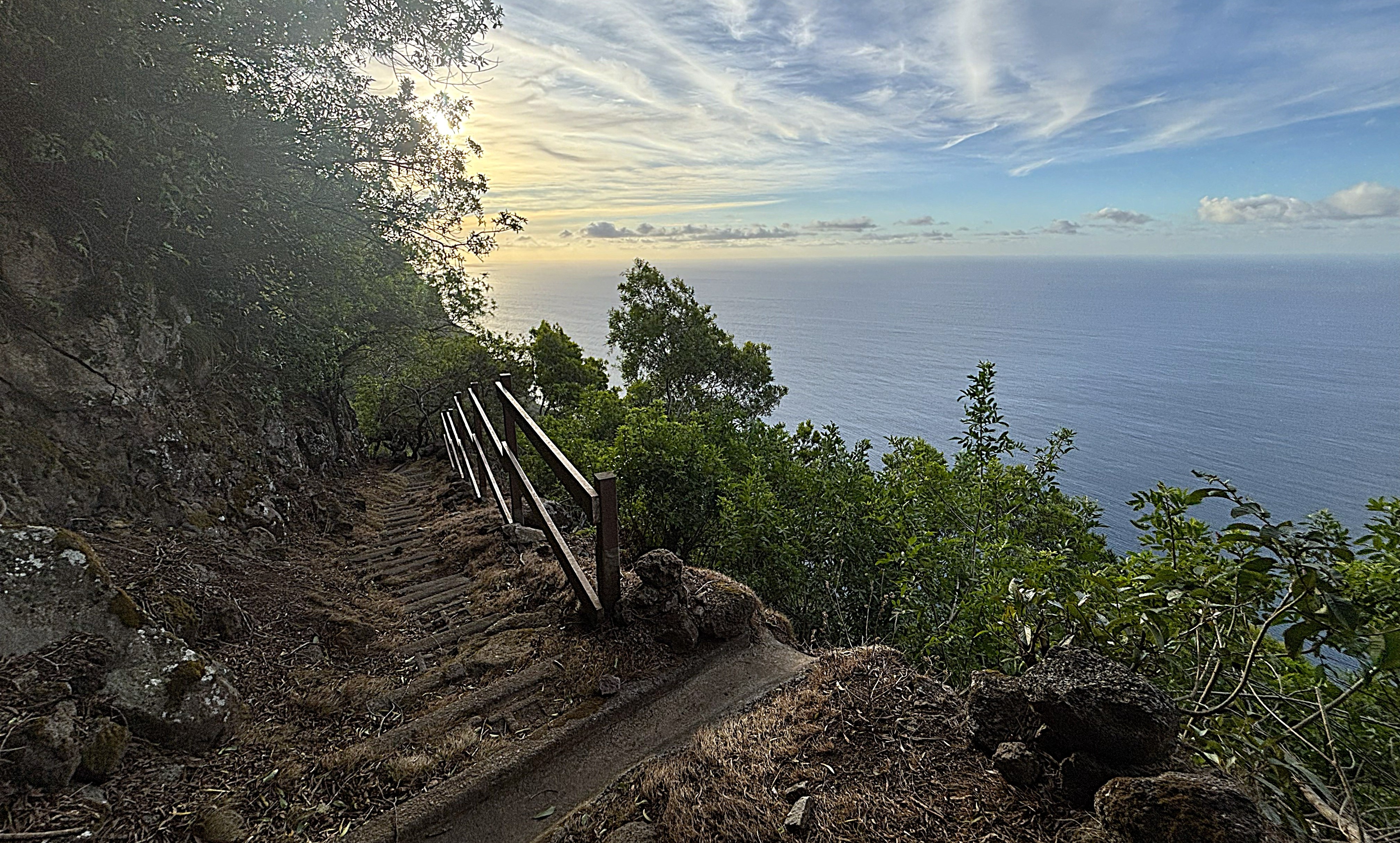 Outdoors; landscape view with greenery on cliff starting on upper left and leading sloped to lower right, steep dirt and stone trail leading down, and blue ocean and sky in upper right.