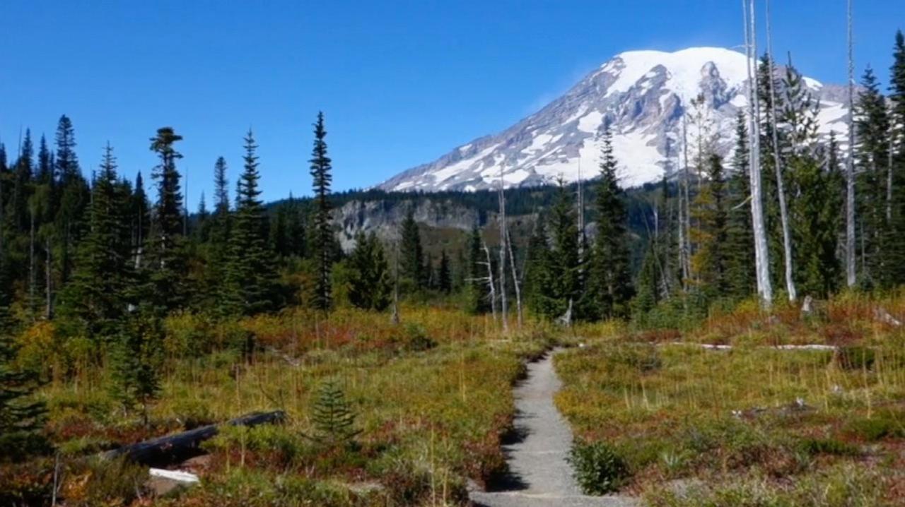 Mount Rainier National Park (U.S. National Park Service)