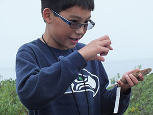 A boy holds a taxidermy vole 