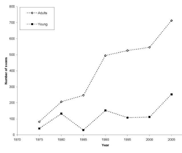a line chart showing how denali swan populations increased much faster than alaska-wide