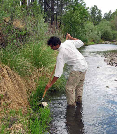 Collecting macroinvertebrate sample with a kick net at Gila Cliff Dwellings National Monument.