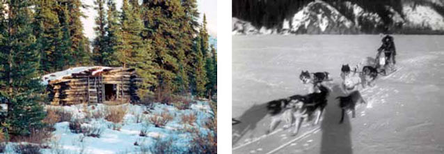 composite of two images; one of a log cabin in a snowy forest, other of a team of sled dogs