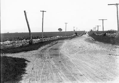 A dirt road, lined by stone walls and wires on poles, passes through a flat agricultural landscape. 