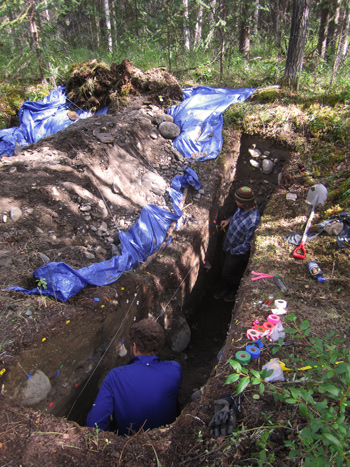 Two researchers stand in a deep rectangular trench in the woods