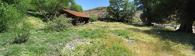 A panoramic of the ranch yard with the ranch house, tall grass, and scattered trees and shrubs.