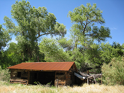 A barn made of wood, railroad ties, and a metal roof stands under tall, leafy trees. 