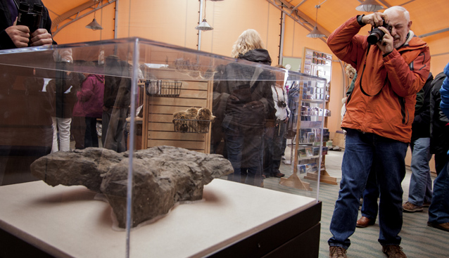 a photographer takes a picture of a dinosaur track in an exhibit case