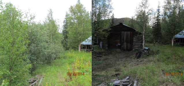 side by side images showing the reduction of brush to create defensible space