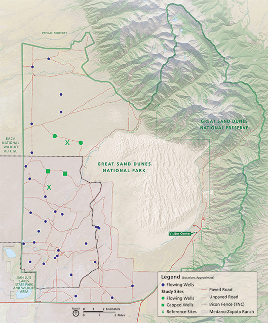 Removal of artesian wells in Great Sand Dunes National Park and its ...