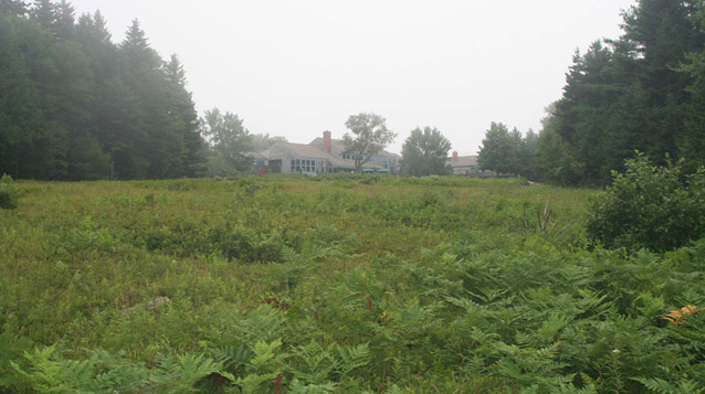 A low building is seen in the distance beyond an open expanse of low, green shrubs. (OCLP, 2008)