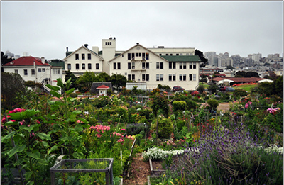 Community Garden