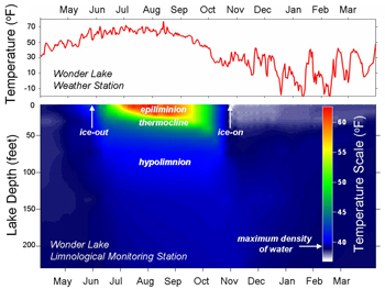 Graph displaying average water temperature compared to depth
