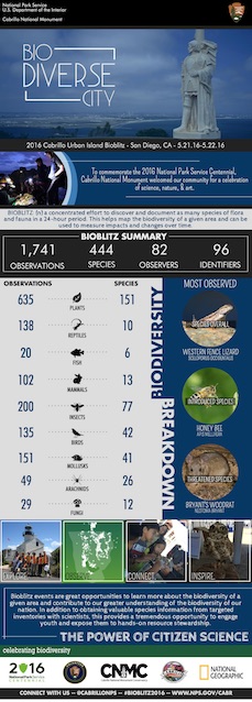 Poster showing final results from BioBlitz at Cabrillo National Monument over May 21-22, 2016