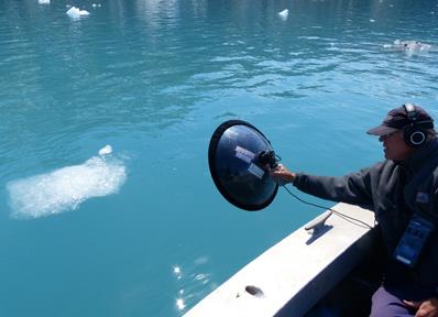 researcher records sounds of the ocean with a dish style microphone