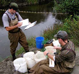 Biologists along the creek bank taking fish measurements and recording data