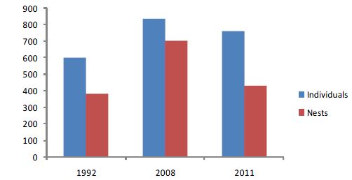 Number of black-legged kittiwake in the Chiswell Islands