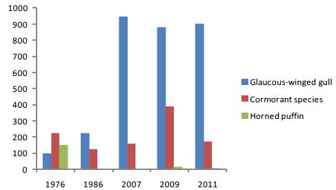 Gull, cormorant, and puffin numbers found at 6 colony locations for 5 years.