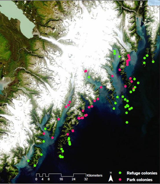 Seabird colony locations along the Kenai Fjords coast.