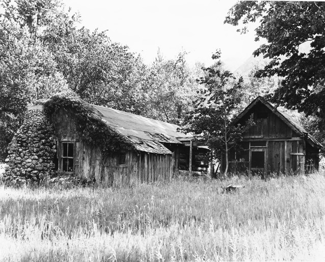 Black and white image of an aging wooden cabin with vines on the side and a rock chimney.