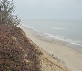 Sand and ocean