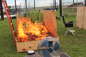  Wooden burn box with fire burning plants and fan adding wind.