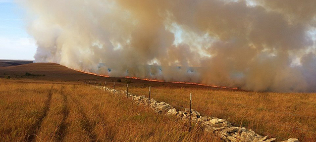 Landscape view of a line of fire at Tallgrass Prairie National Preserve