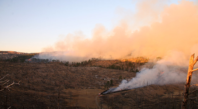 smoke from a prescribed wildland fire at Jewel Cave