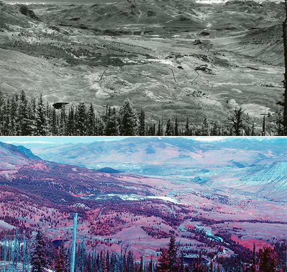 Yellowstone landscape from 1935 to 2008