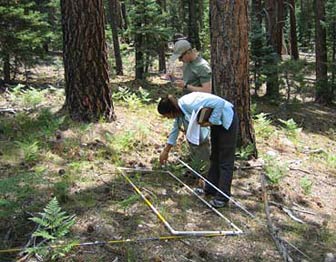 Upland vegetation and soils monitoring