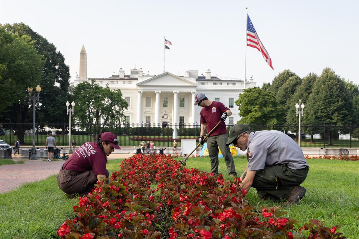 Three people doing landscape work in a park, with the North Portico of the White House visible 