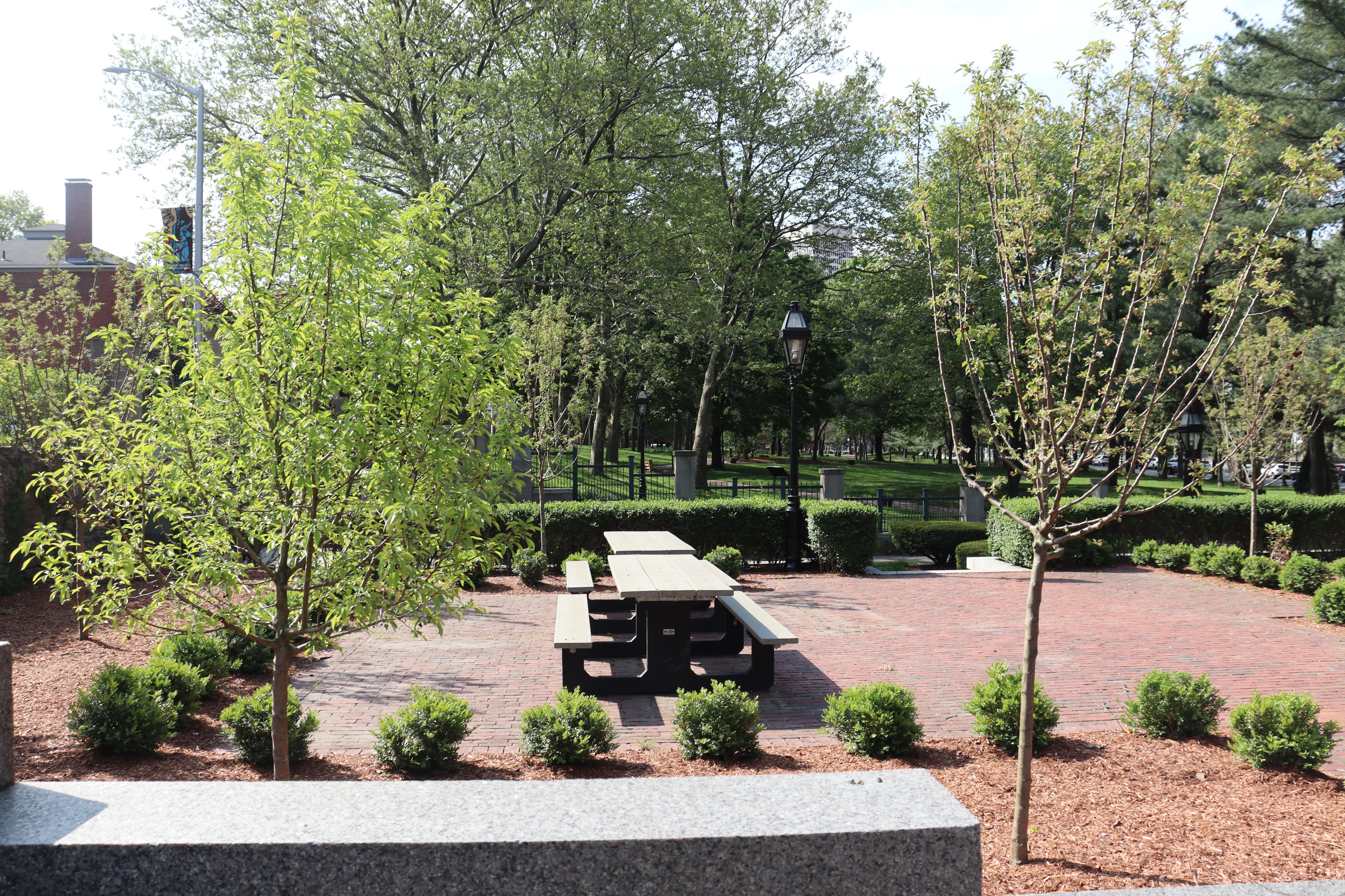 Accessible tables in the picnic area