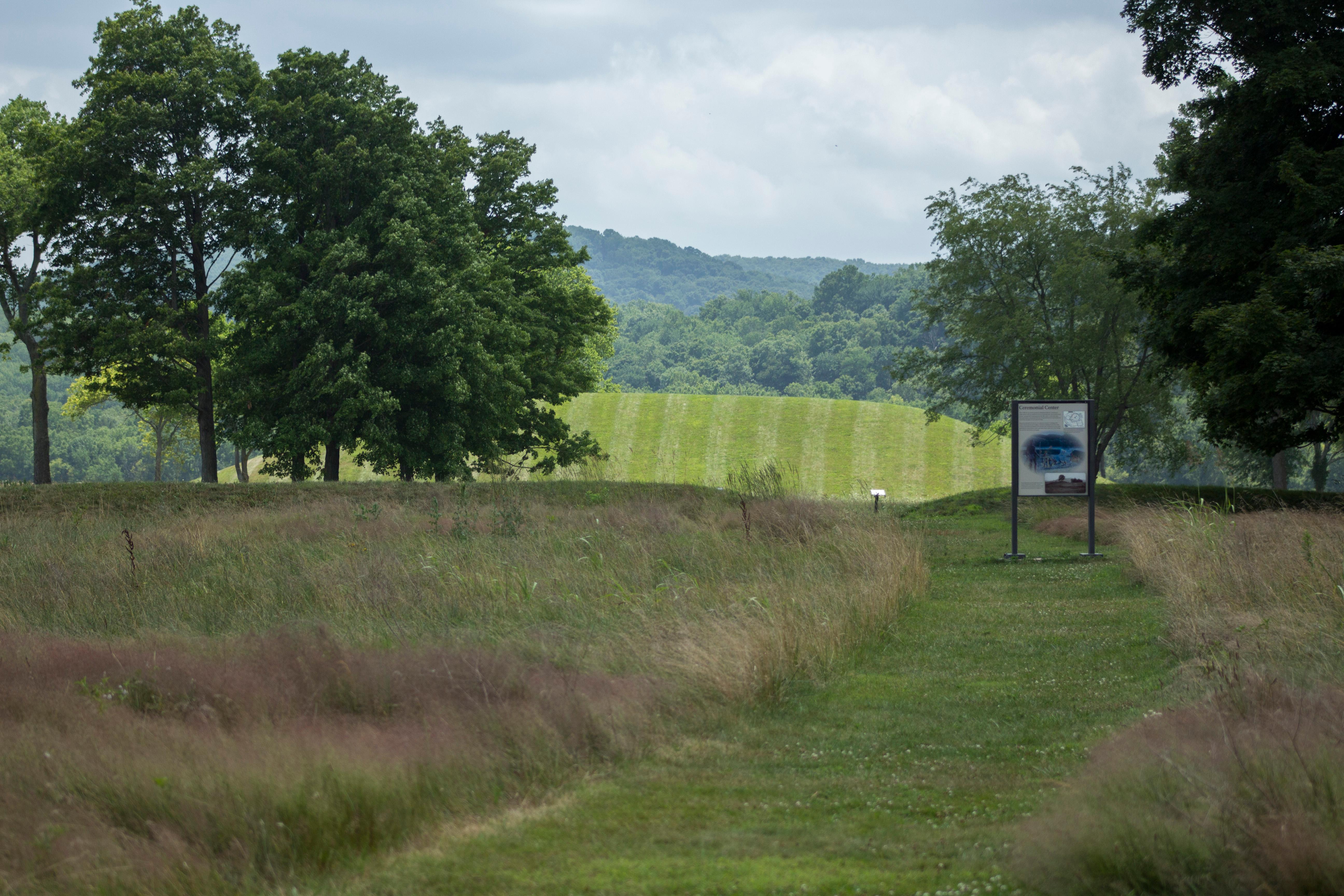 A grassy trail running between tall trees in a green field leads to a large grass-covered mound