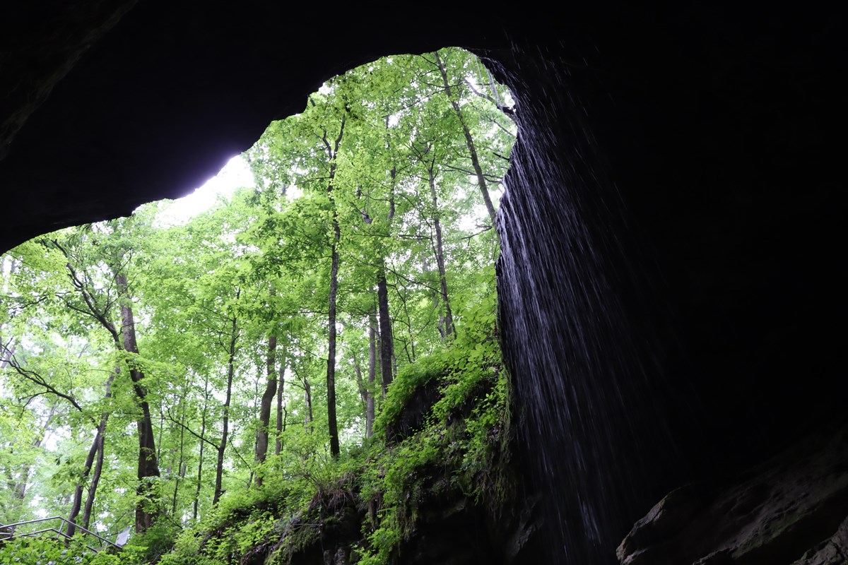 Looking out from a large cave entrance with falling water and green trees shown over the entrance.