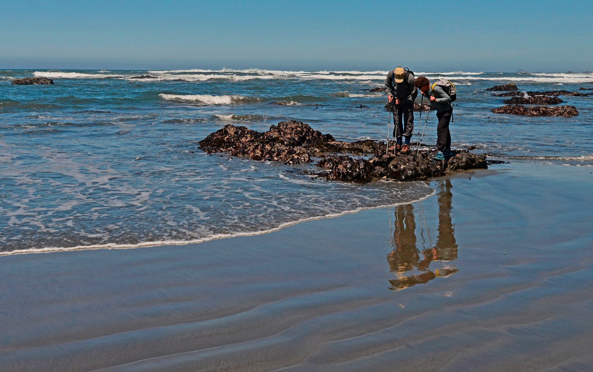Two visitors looking at tidepools.