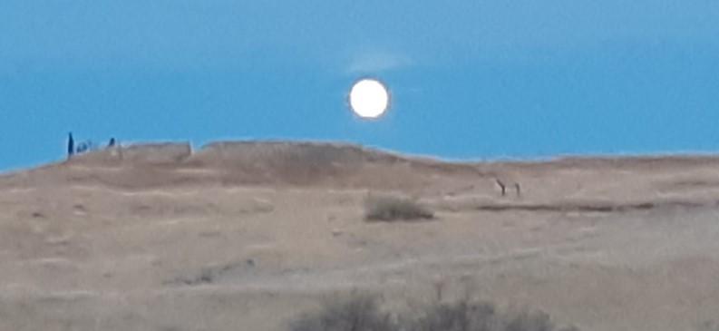 A rising moon peaks above the eastern horizon in January..