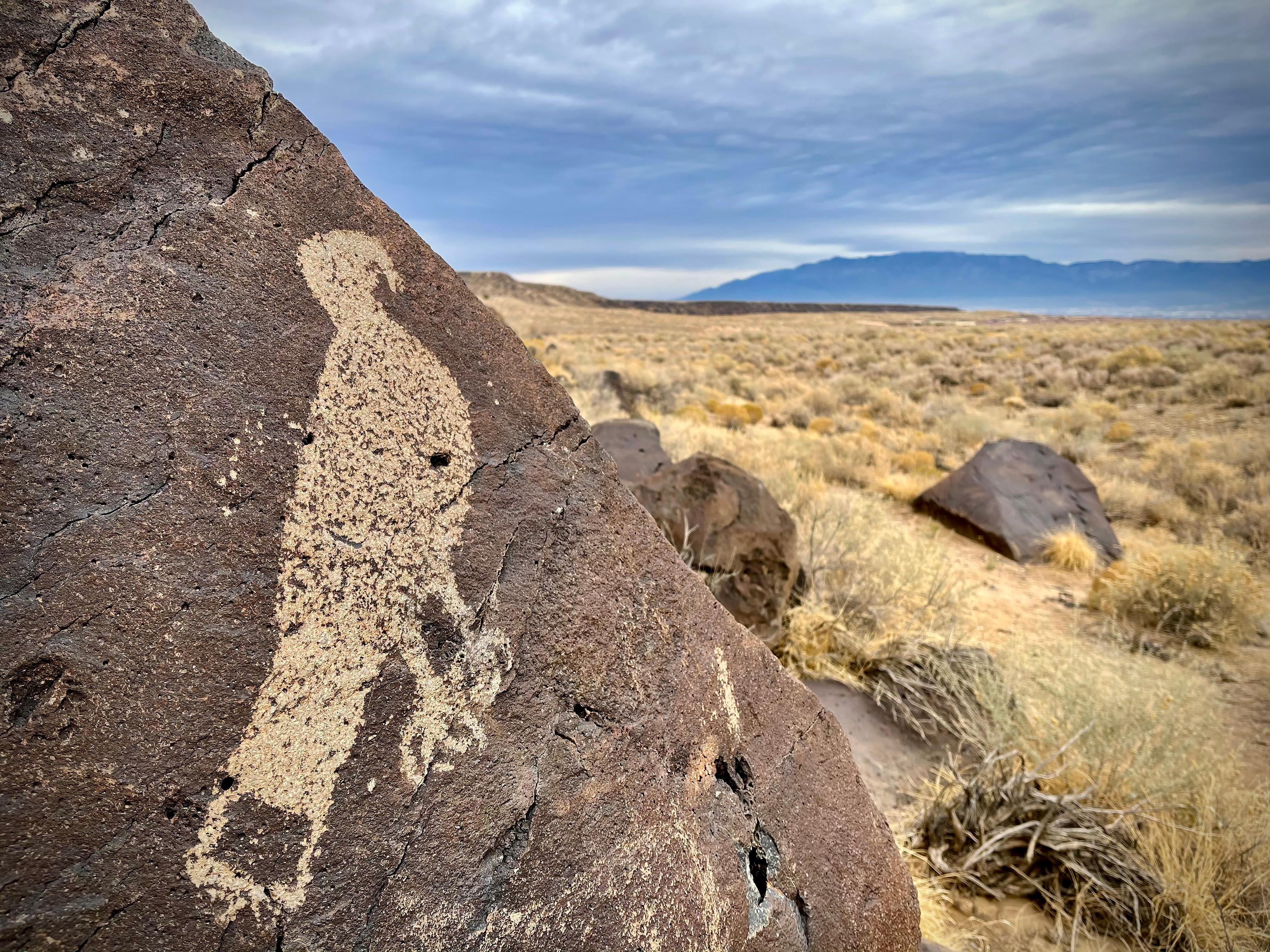 A hawk petroglyph on a dark boulder with a cloudy sky and mountains in the background.