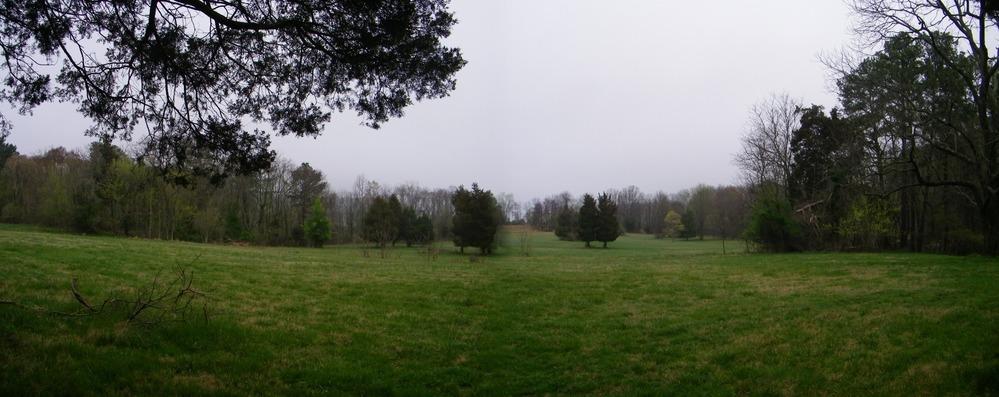 A sweeping view of a grass field dotted with trees