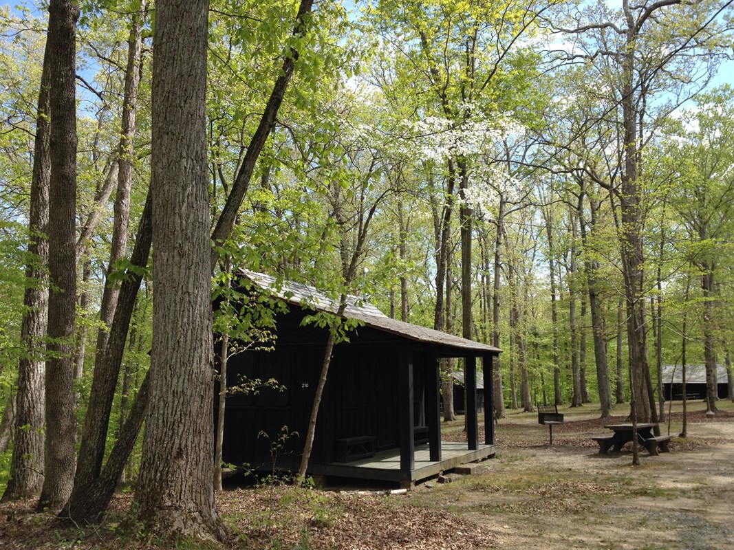 Wooden cabin with a porch and nearby picnic table and grill shaded by a green forest