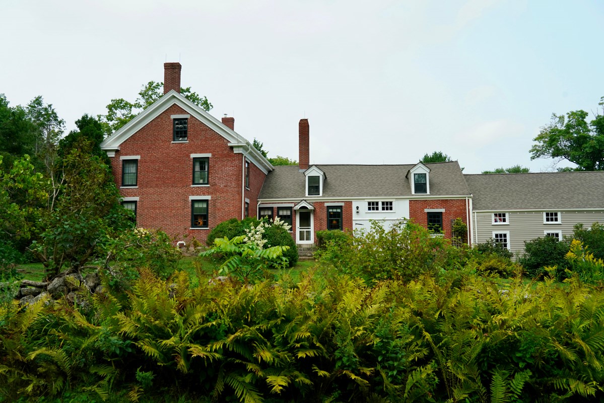 A two-story red brick home stands just beyond a row of green ferns.
