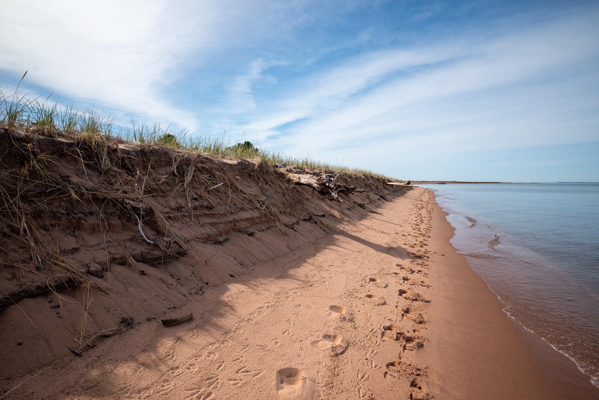 Photograph of sandy shoreline. 