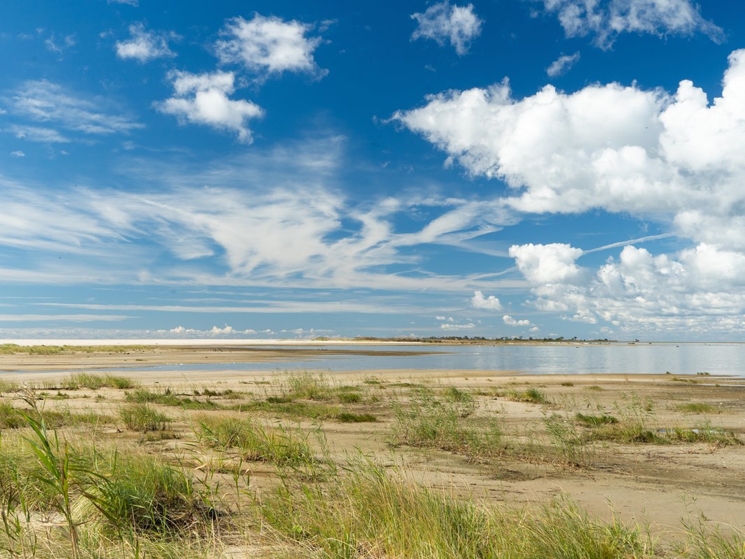 A flat, sandy area on the bay with dune grass in foreground and white clouds and blue sky above.