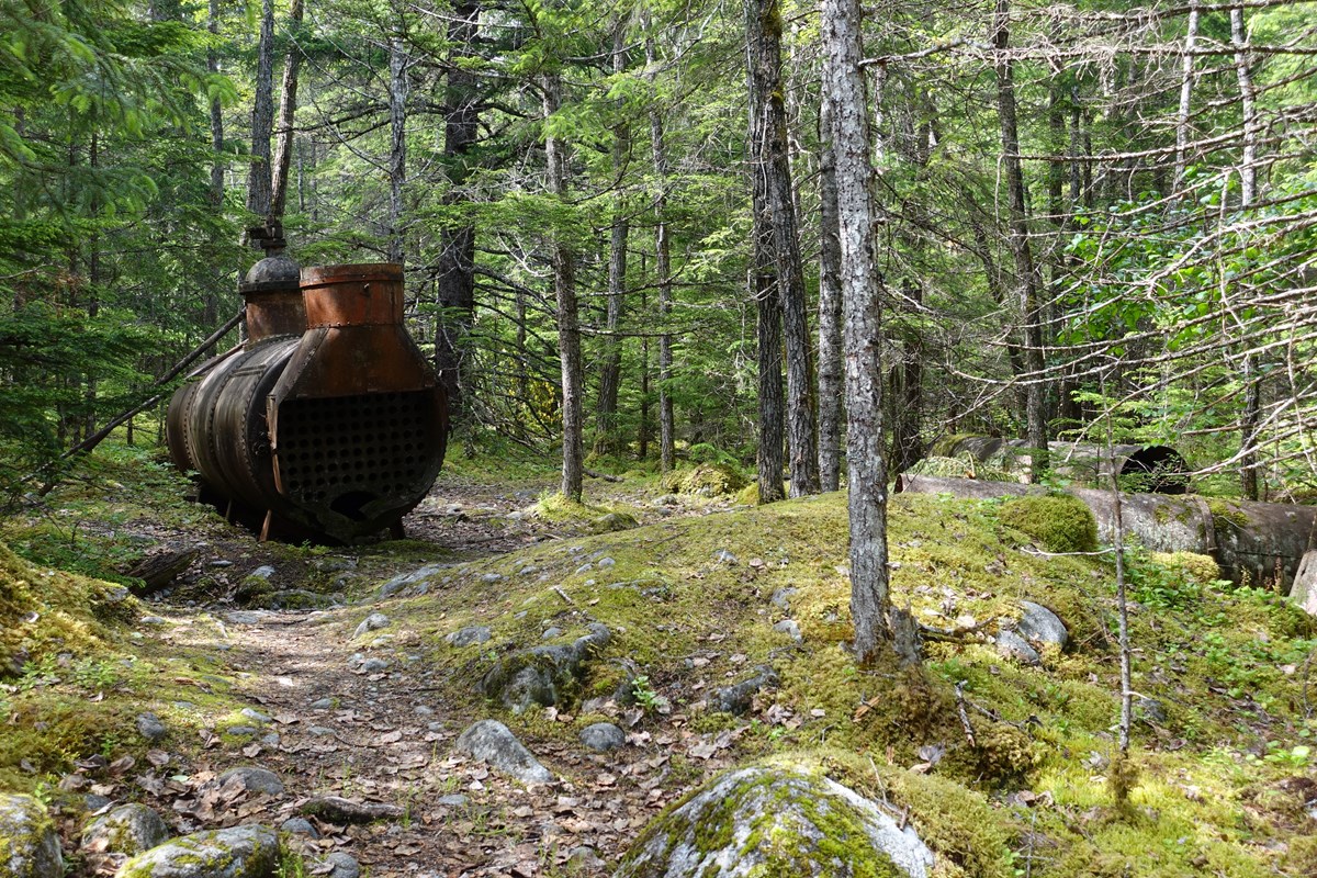A rusted boiler sits in a mossy glade, surrounded by small pine trees