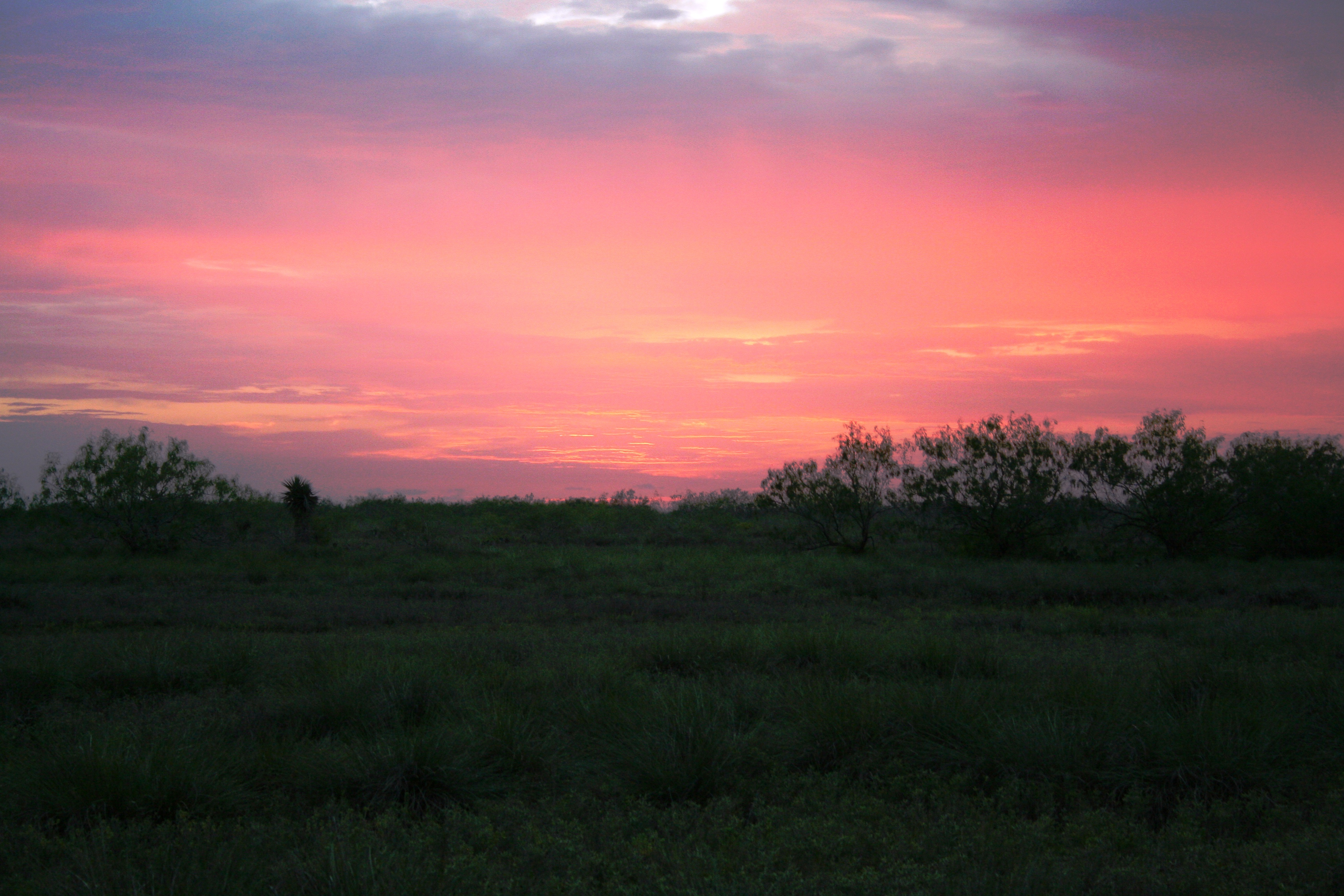 Sunset over the battlefield