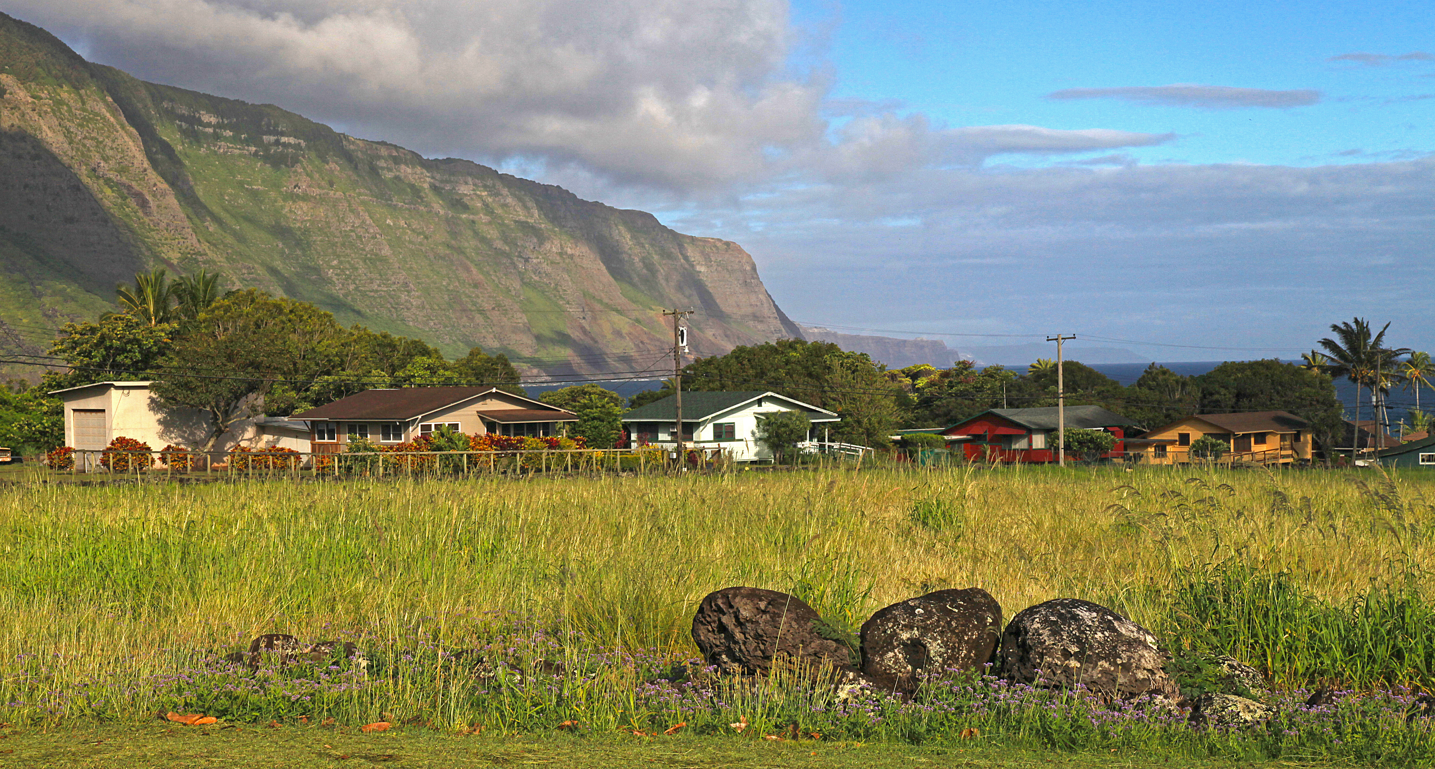 View of residences along Damien Road