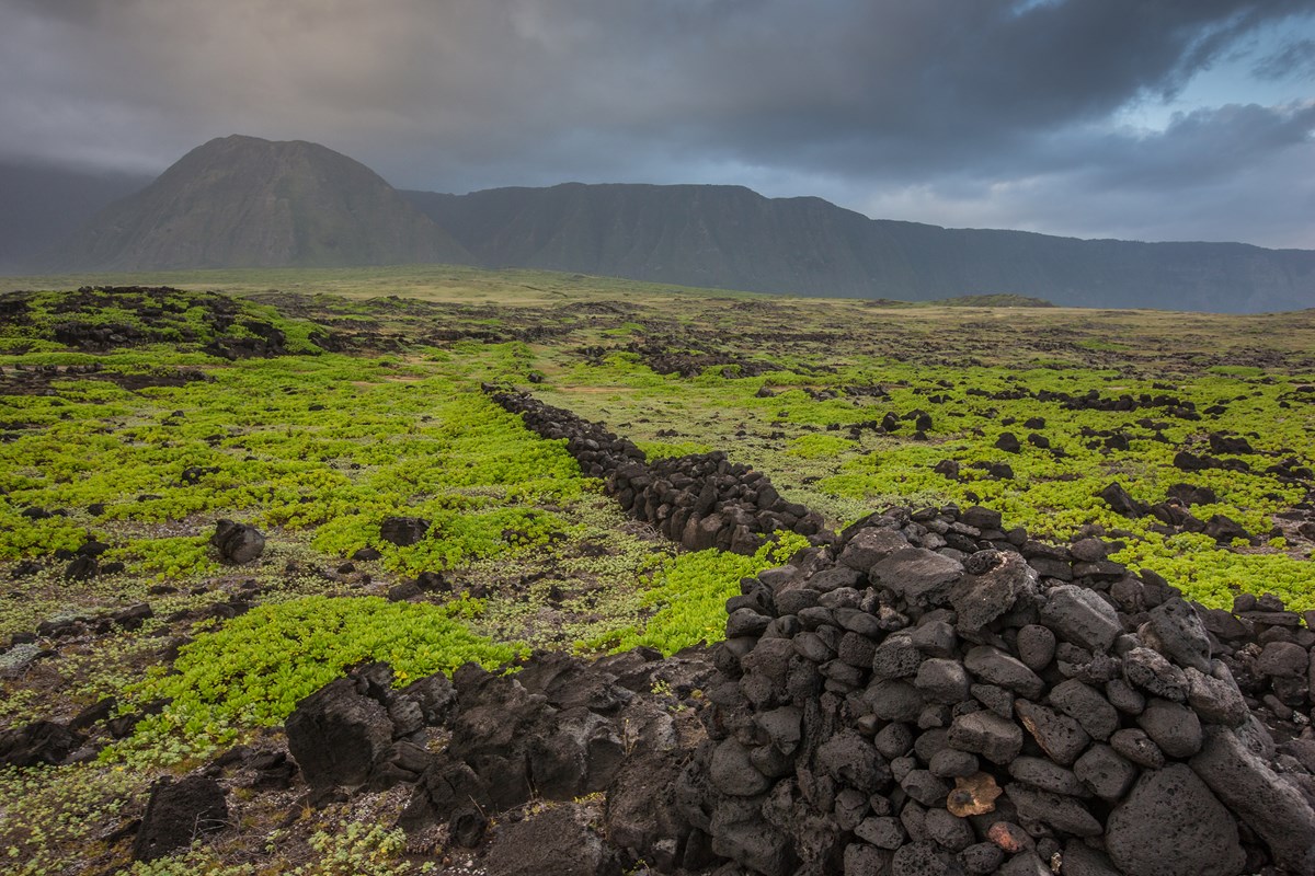 View of rock walls and native Hawaiian archeological sites at Kalaupapa. 