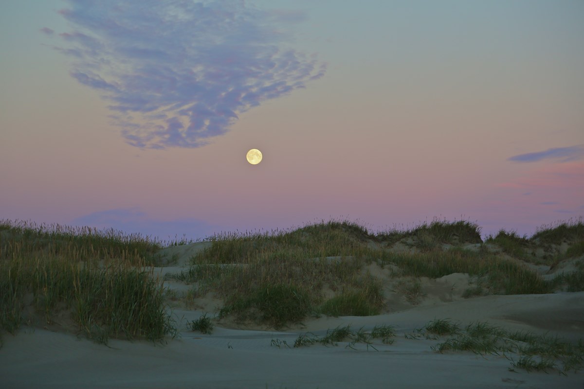 Rolling sand dunes with sparse vegetation with full moon rising above.  
