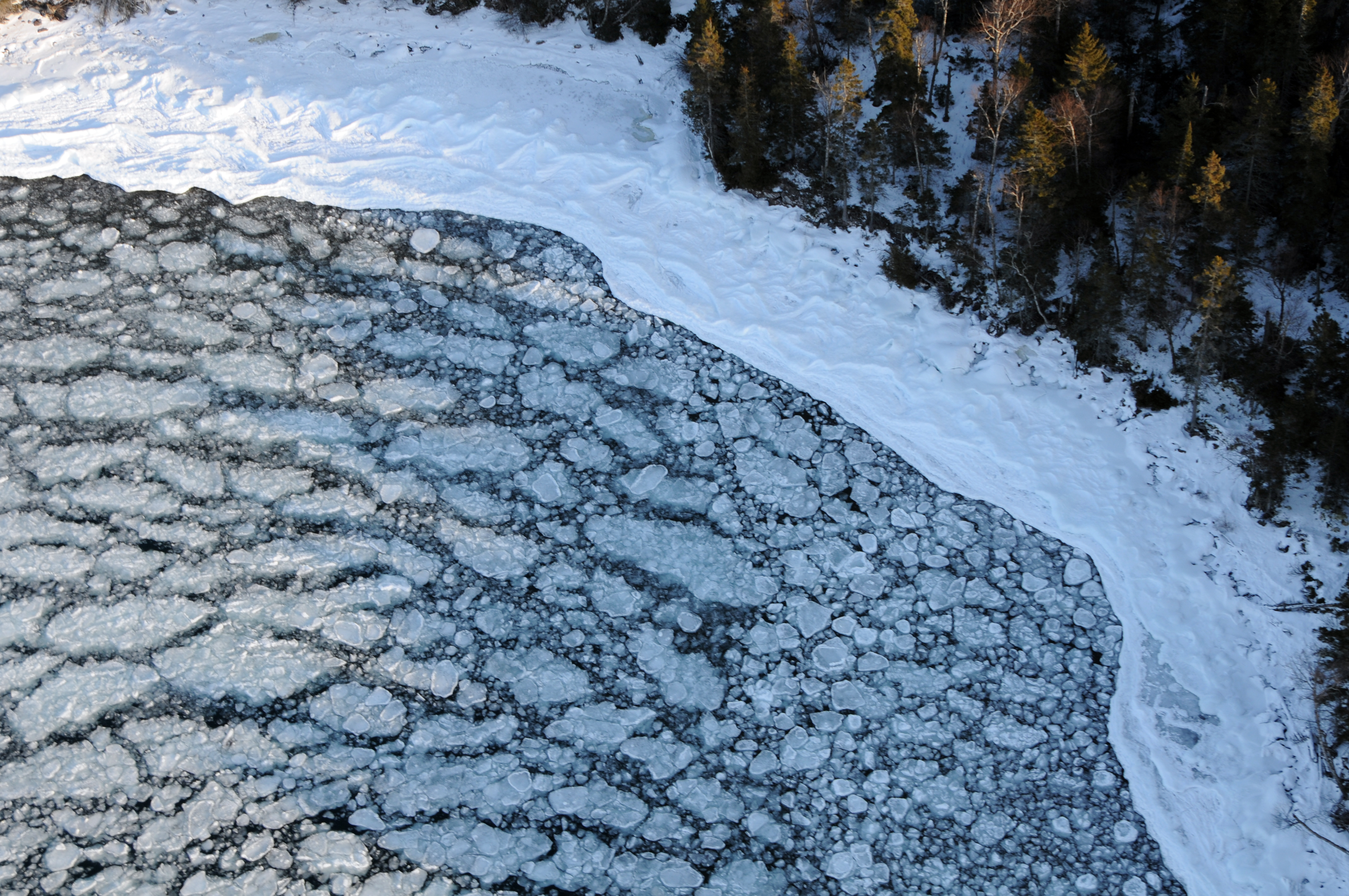 Ice floes float in a harbor